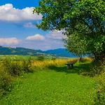 Jaskolka Villa
