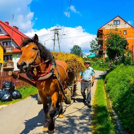 Jaskolka 别墅 Haluszowa