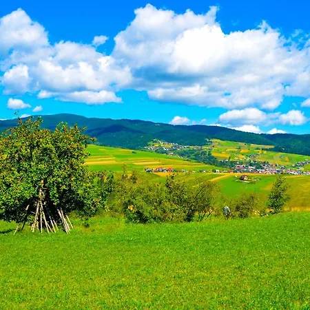 Jaskółka *