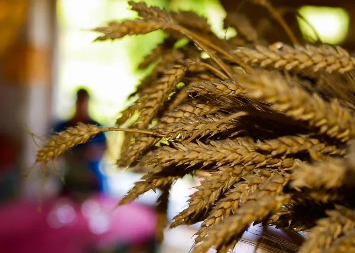 Jaskolka 别墅 Haluszowa