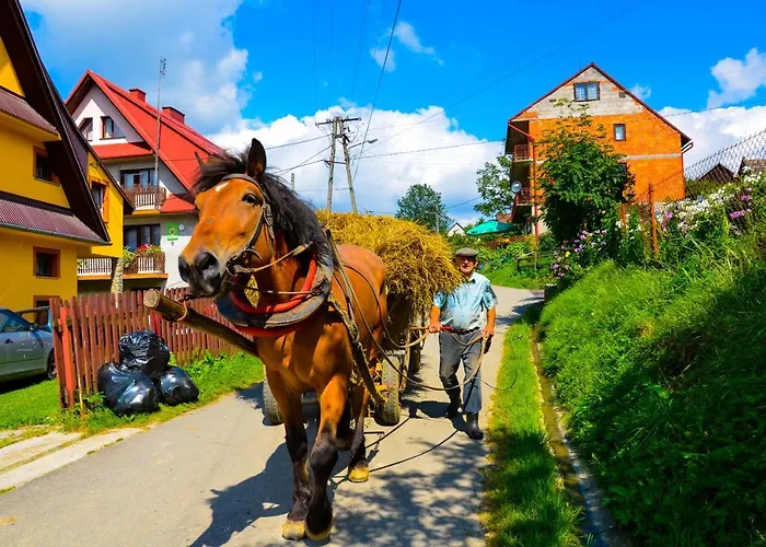 Jaskolka 别墅 Haluszowa